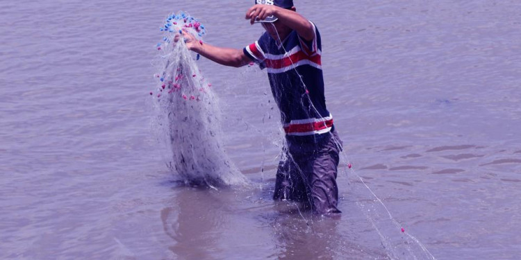 armer harvesting fish in Thanh Hoa Province, Vietnam. Aquaculture production has been found as a profitable and climate-resilient livelihood that farmers can adopt