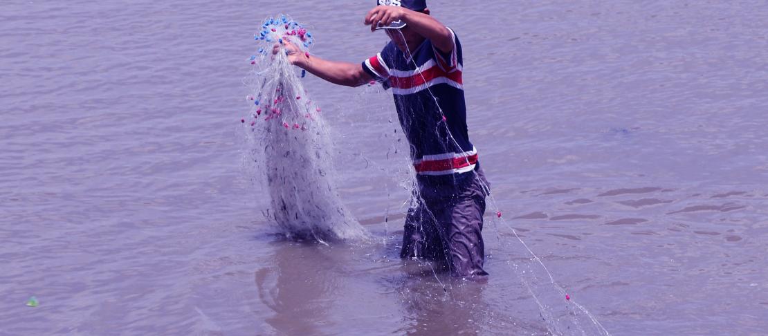 armer harvesting fish in Thanh Hoa Province, Vietnam. Aquaculture production has been found as a profitable and climate-resilient livelihood that farmers can adopt