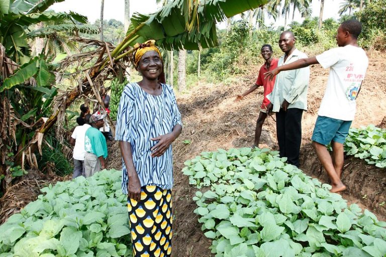 Co-operative farm in rural DR Congo End Hunger