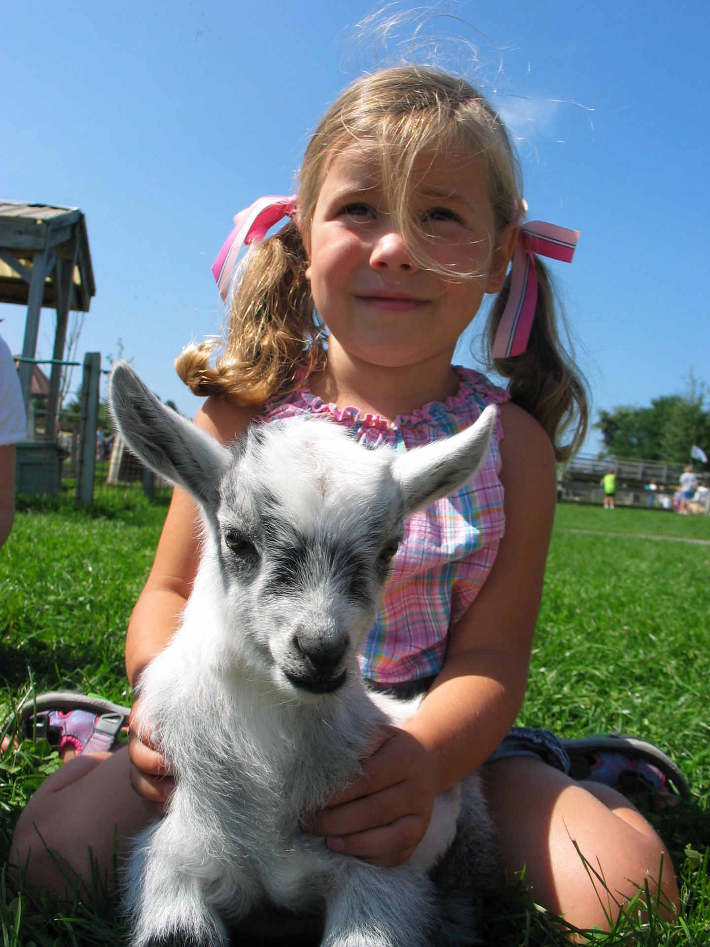 Health Illiteracy – Why a Silent Epidemic Needs a “One Health” Approach