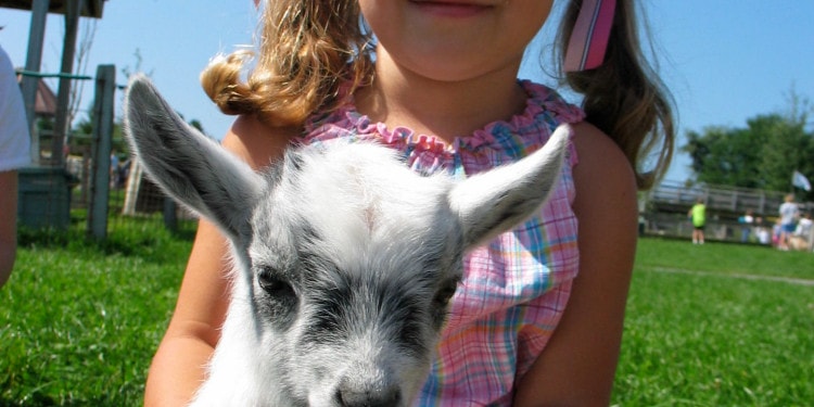 Health Illiteracy – Why a Silent Epidemic Needs a “One Health” Approach