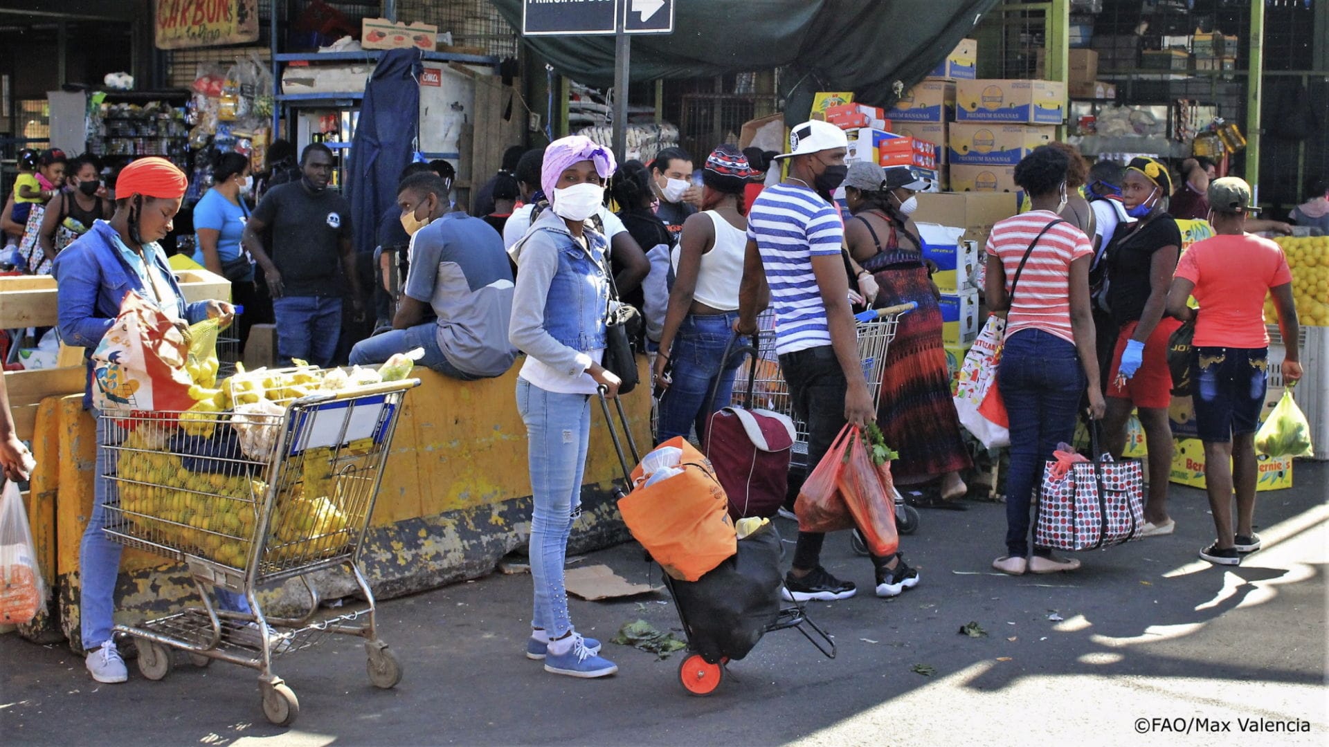 Assembling the Puzzle: Conceptual Framework and Methods for Assessing Food Systems