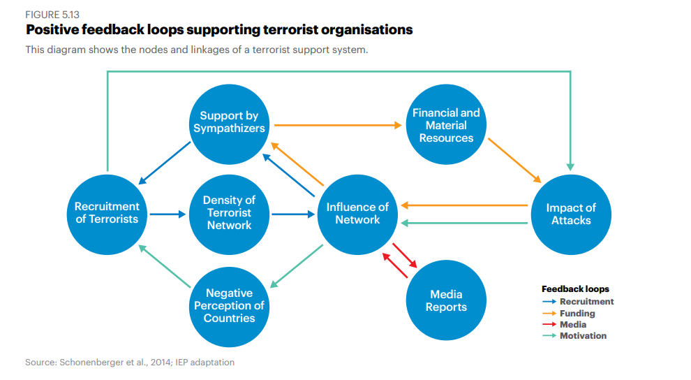 Positive feedback loops supporting terrorist organization