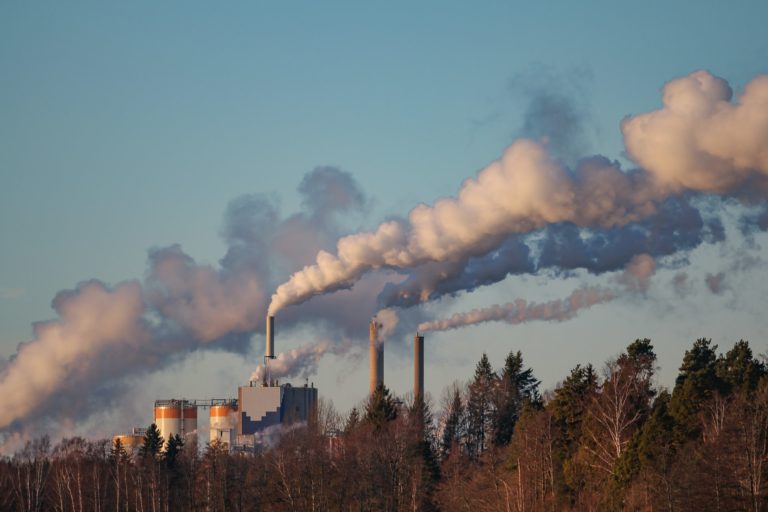 Swedish power plant energy charter treaty