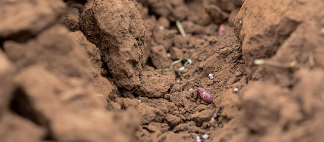 Bridging the Gap Between Finance and Action on World Soil Day