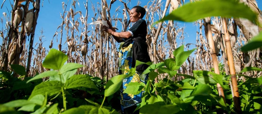 How Climate Change Intertwines With Inequity To Erode Nutrition