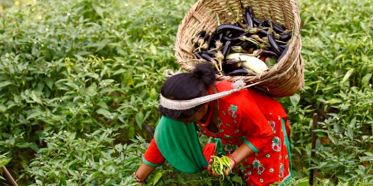 Moving Towards Sustainable Agricultural Policy Making