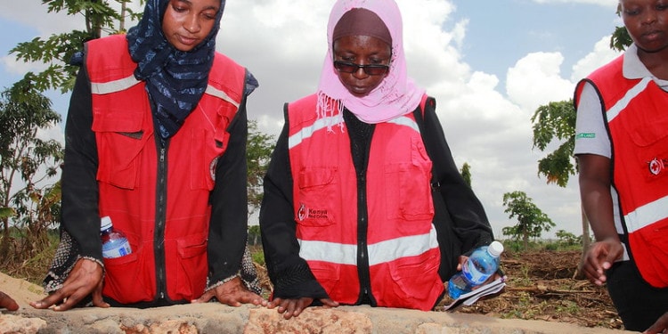 Furrow irrigation red cross