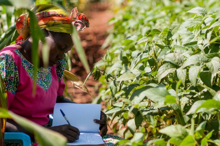 woman-testing-soil-kenya-Gender