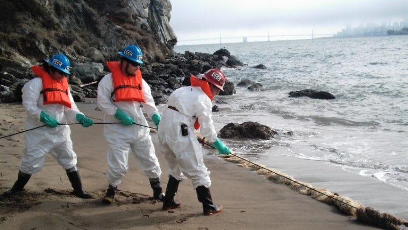 The World Needs to Wake Up: At Risk the Survival of Humanity