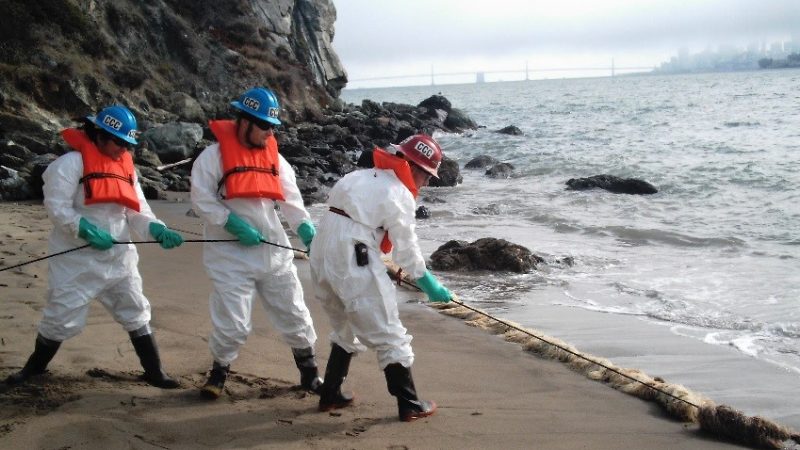 The World Needs to Wake Up: At Risk the Survival of Humanity