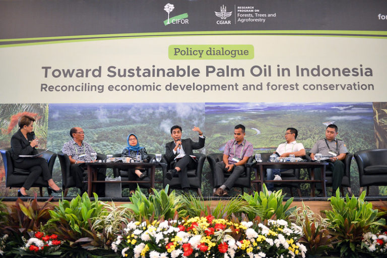 Sustainable palm oil Indonesia