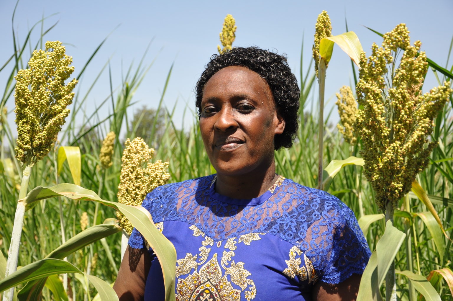 Susan is a sorghum farmer and buying agent for Shalem. This picture was taken by Kristin Williams, Communications Manager, during a visit to Shalem in July 2019.