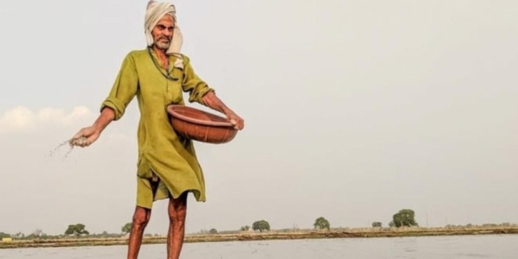 Digital Nutrient Management Tool Reduces Emissions, Improves Crop Yields And Boosts Farmers’ Profits