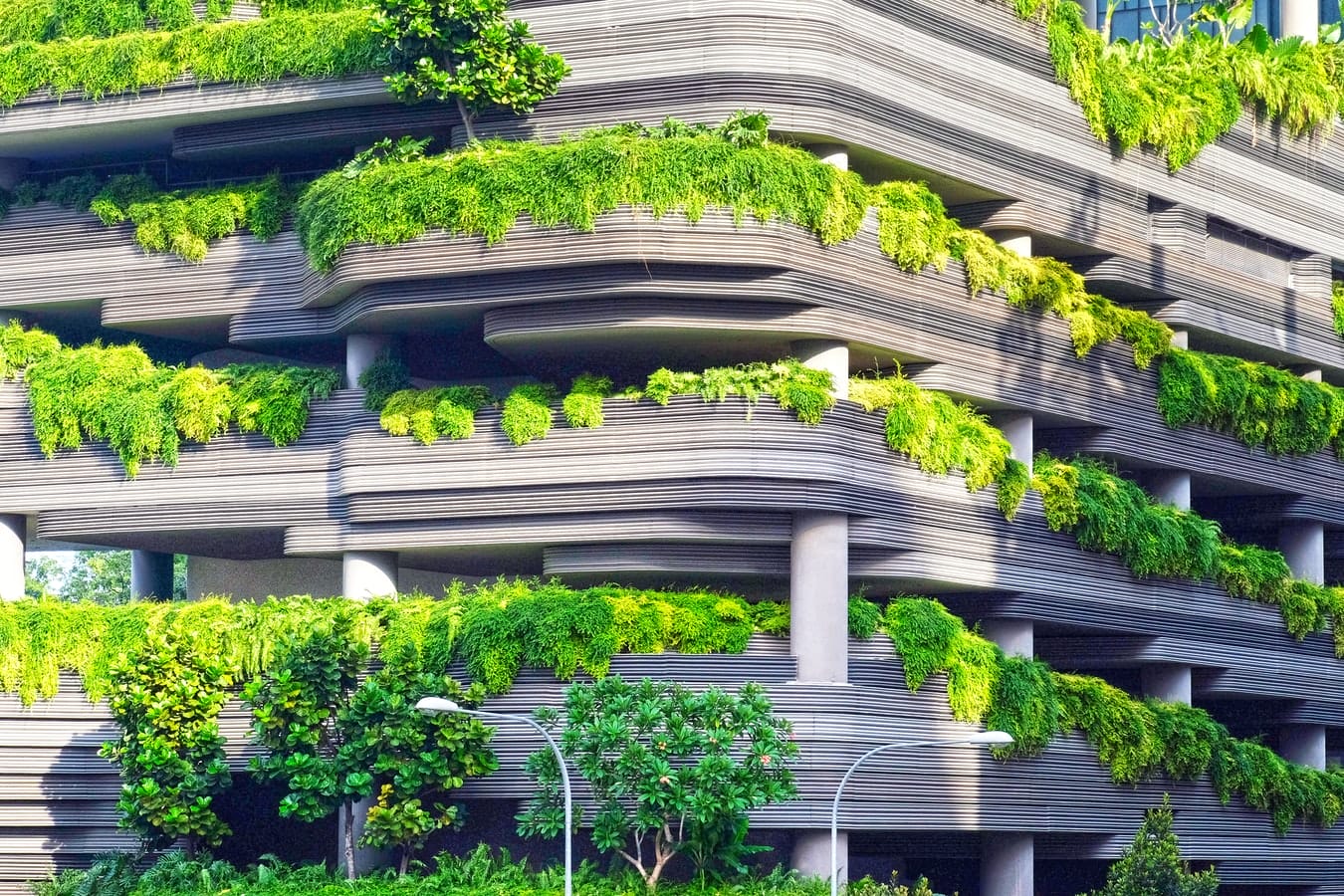 The Top 5 Green Building Words of 2020