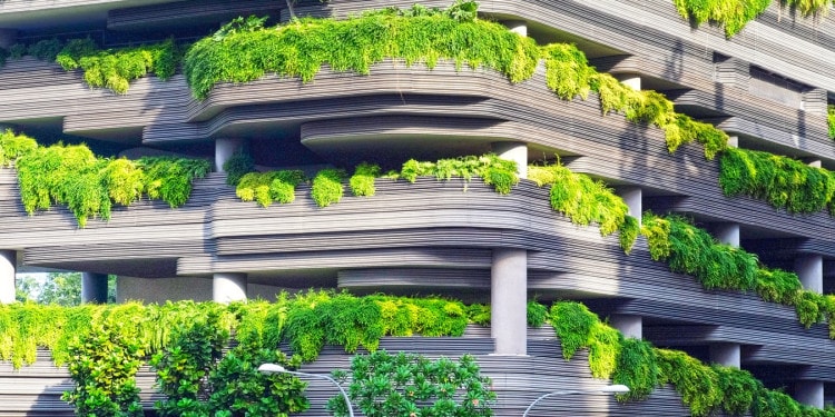 The Top 5 Green Building Words of 2020