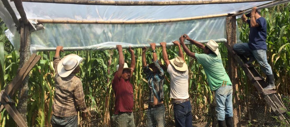 Scaling up Adaptation Experiences in the Dry Corridor of Guatemala
