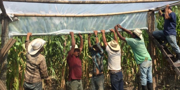Scaling up Adaptation Experiences in the Dry Corridor of Guatemala