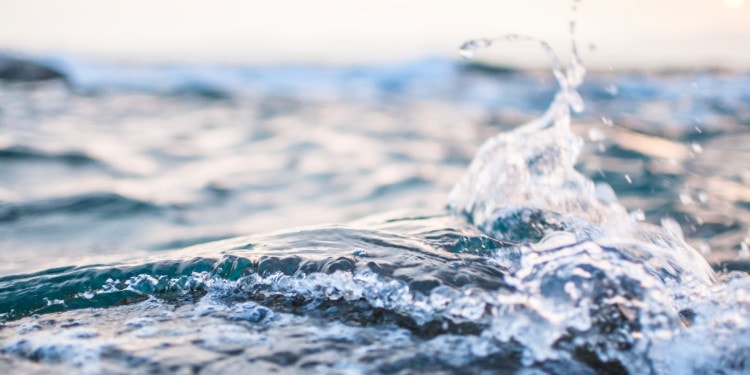 4 Ideas To Keep Water Clean & Available As Seen At CES2021