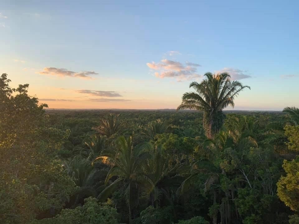 Formulation of NDCs in Belize – the Use of FAO’s EX-ACT Tool