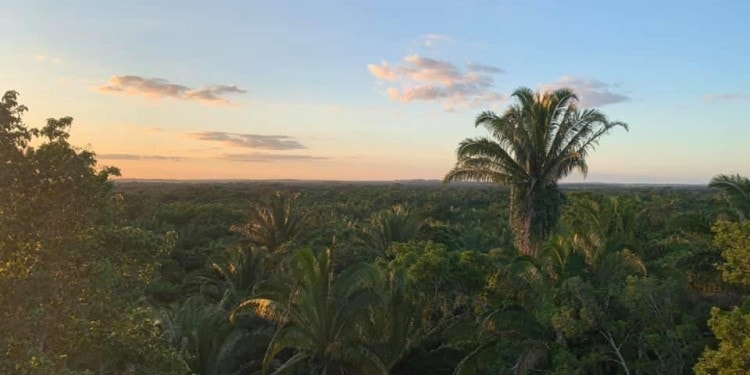 Formulation of NDCs in Belize – the Use of FAO’s EX-ACT Tool