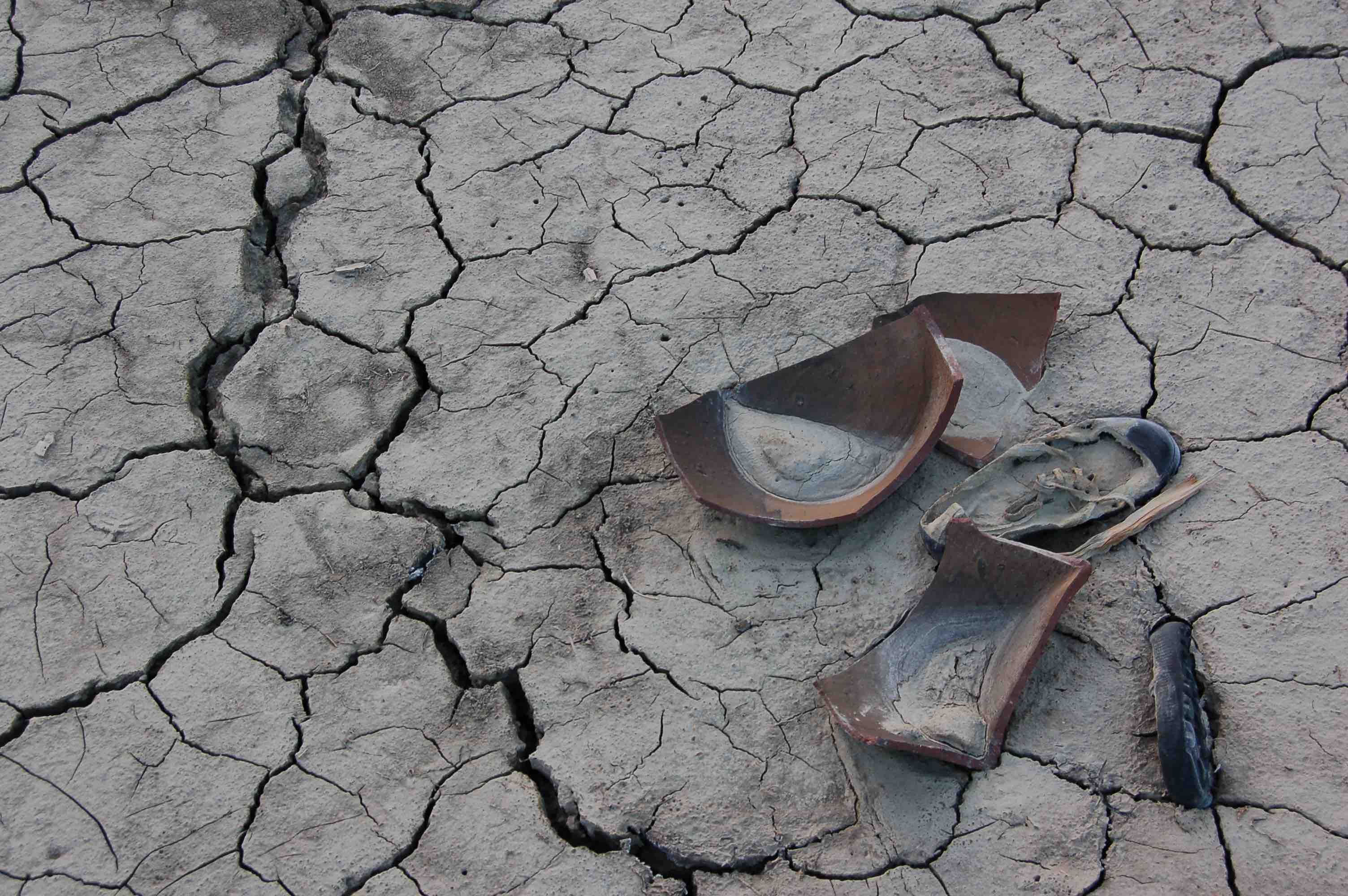 Global Action on Land Degradation Offers a Win-Win Solution for People and the Planet