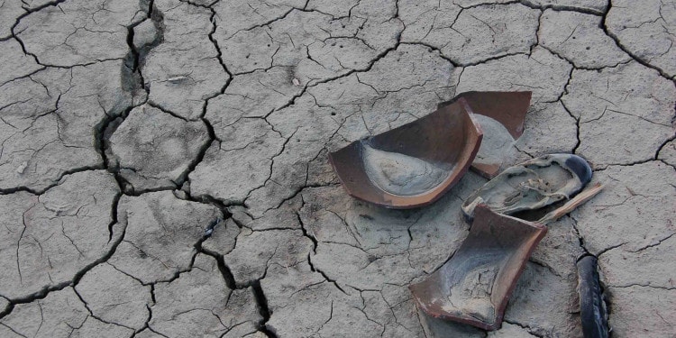 Global Action on Land Degradation Offers a Win-Win Solution for People and the Planet