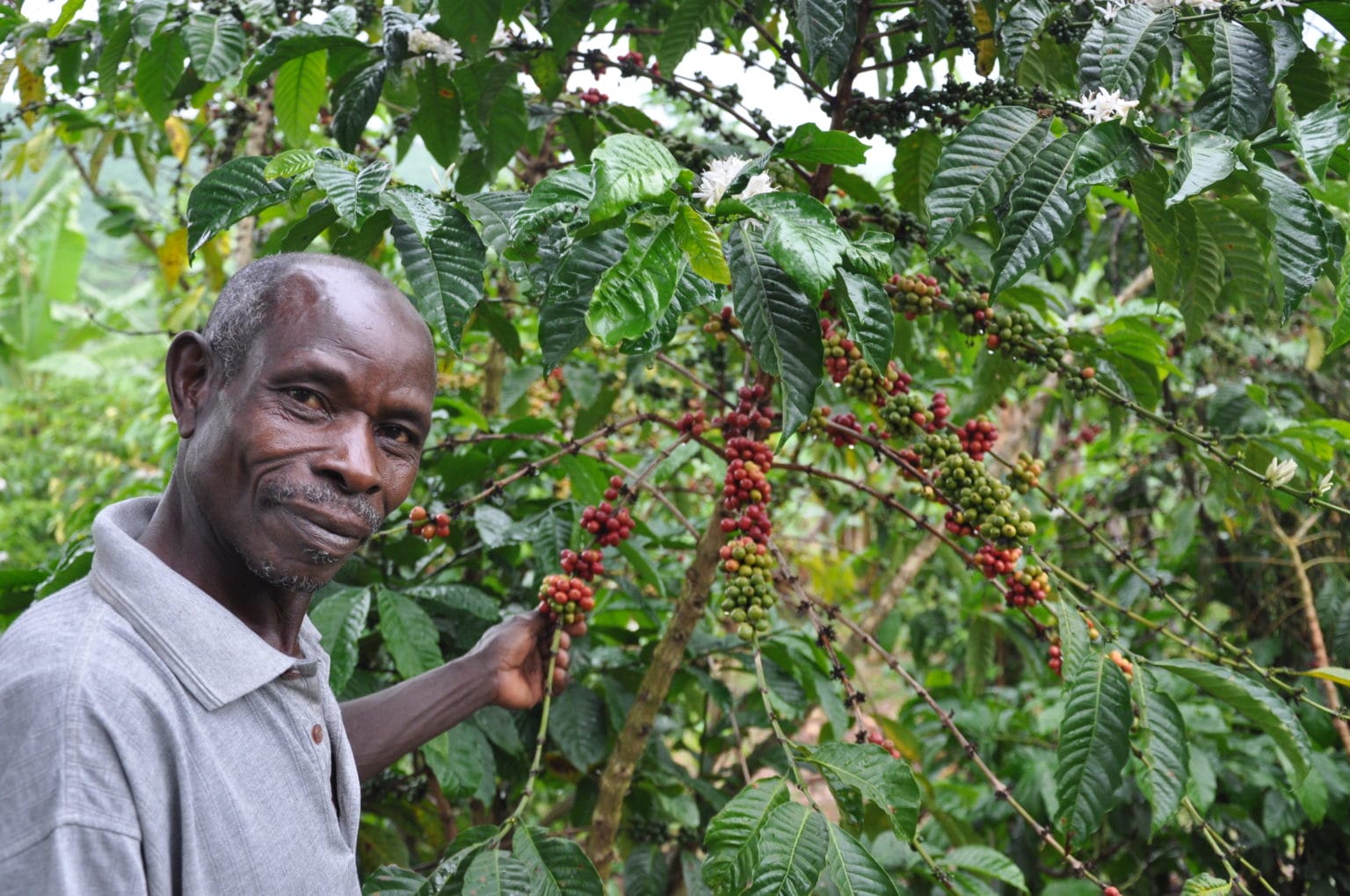 How Rural Businesses Are Confronting the Climate Crisis