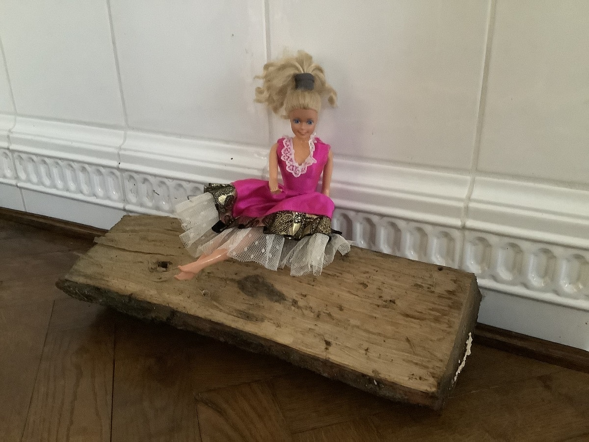 Our Sustainable Future: How to be a Conscious Consumer