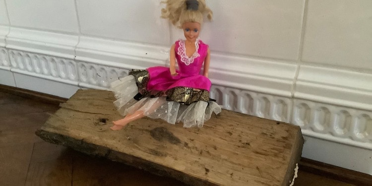 Our Sustainable Future: How to be a Conscious Consumer