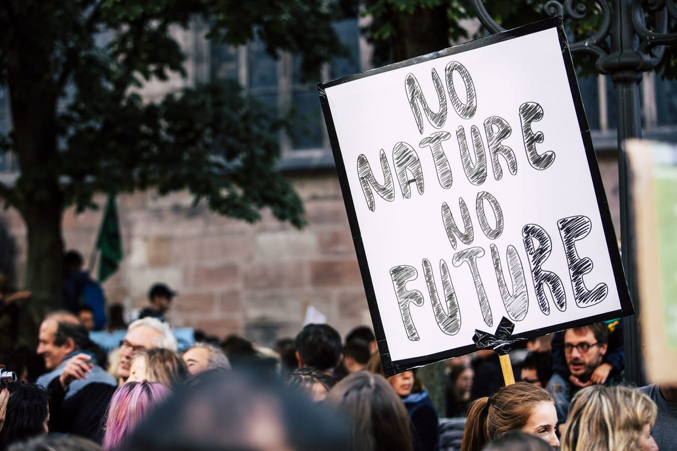 current environmental law cases
