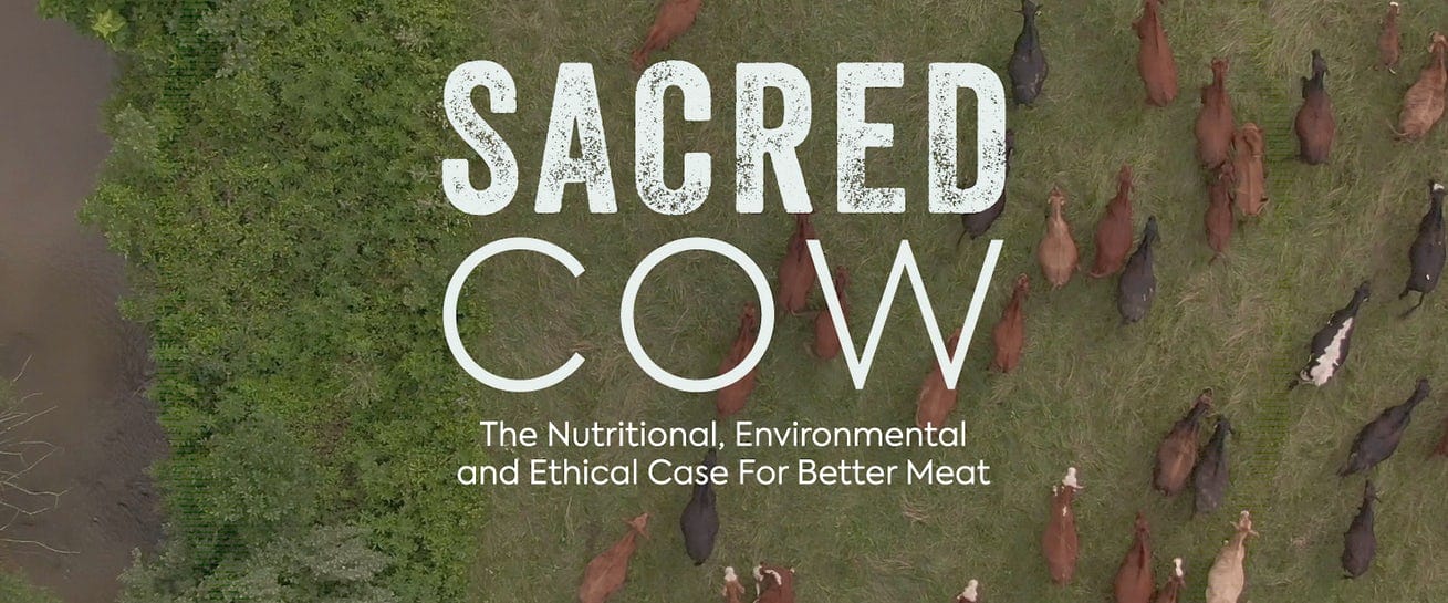 Sacred Cow Documentary Makes the Case That Beef is Good for You, the Environment