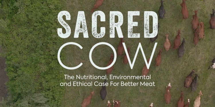 Sacred Cow Documentary Makes the Case That Beef is Good for You, the Environment