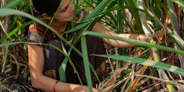 Science for All: Building a Gender-Inclusive Future in the Sciences