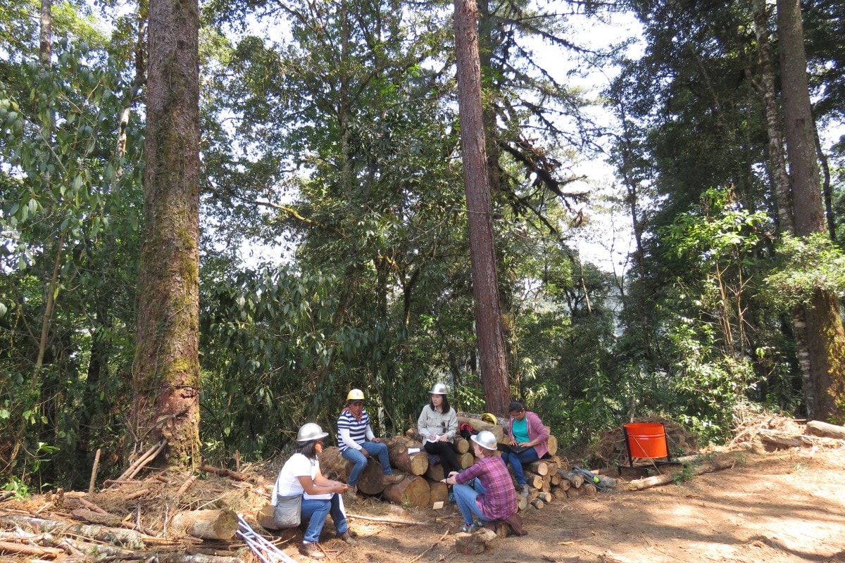 3 Shifts to Advance Adaptation and Resilience in 2021