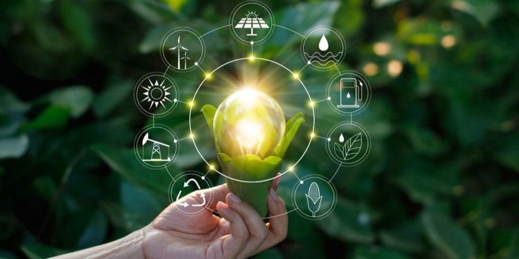 OXGAV, The World’s First Ever Conservation Venture Capital Studio