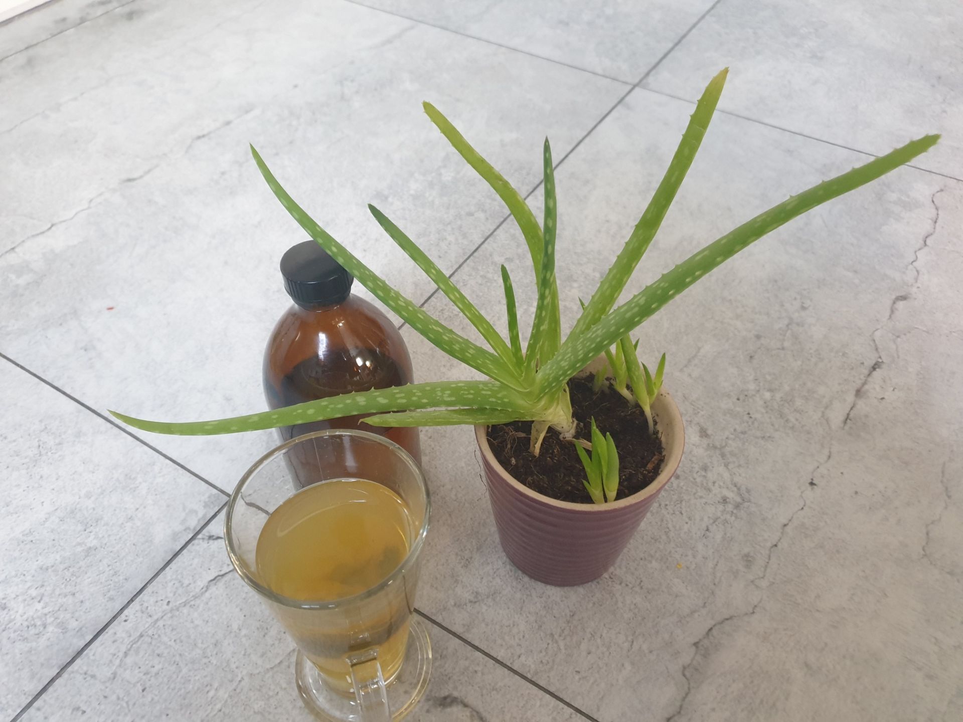 Our Sustainable Future: How to Tackle Bathroom Plastic Waste