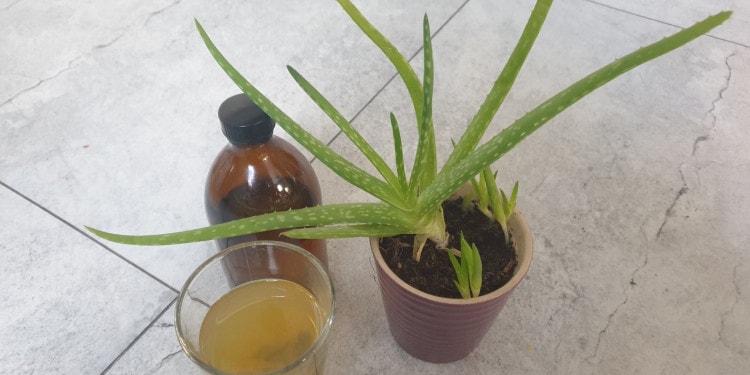 Our Sustainable Future: How to Tackle Bathroom Plastic Waste