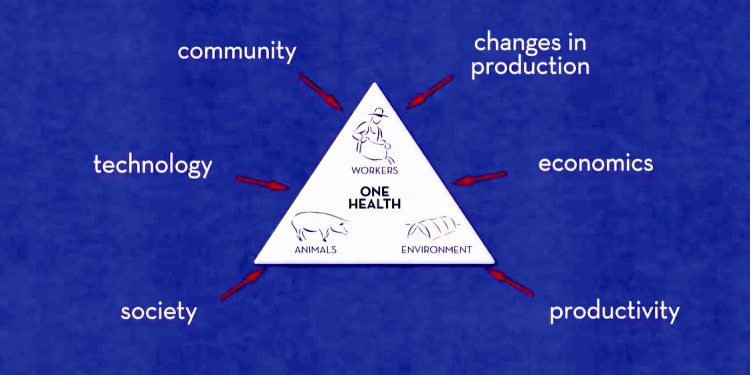 One Health for One Planet: How to Address 21st Century Education Challenges