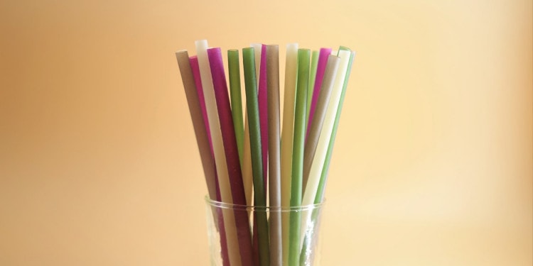 Eco-Friendly Innovations and Trends: Not Always as Green as They Seem