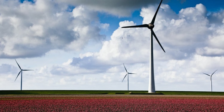 Atmos, A New Banking Startup to Democratize Climate Action