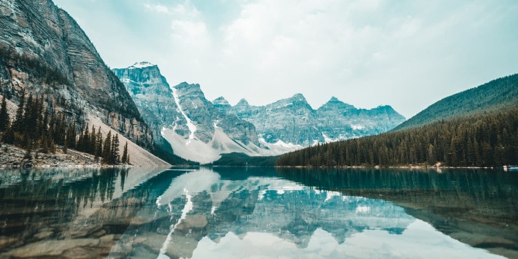 Why Sustainable Investing Is A Win-Win