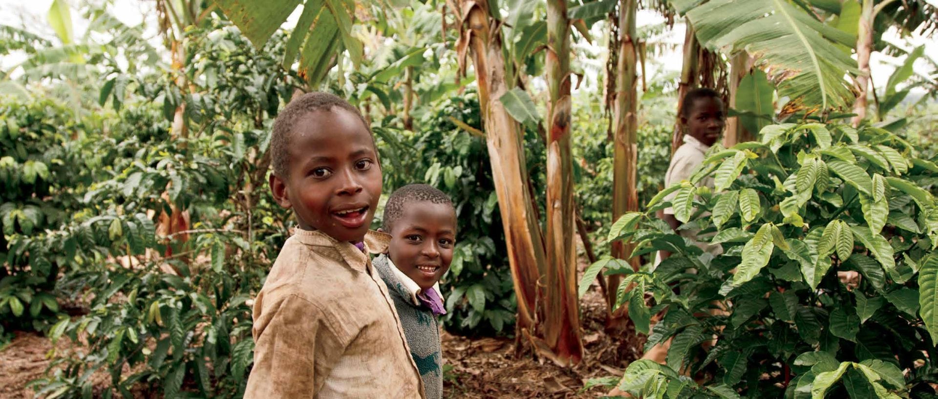 Forests for a Healthy and Resilient Society