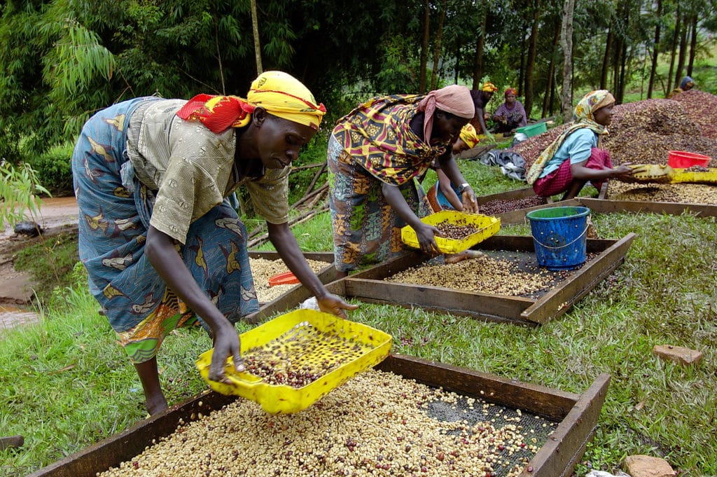 Leveling the Playing Field for Women in Agriculture