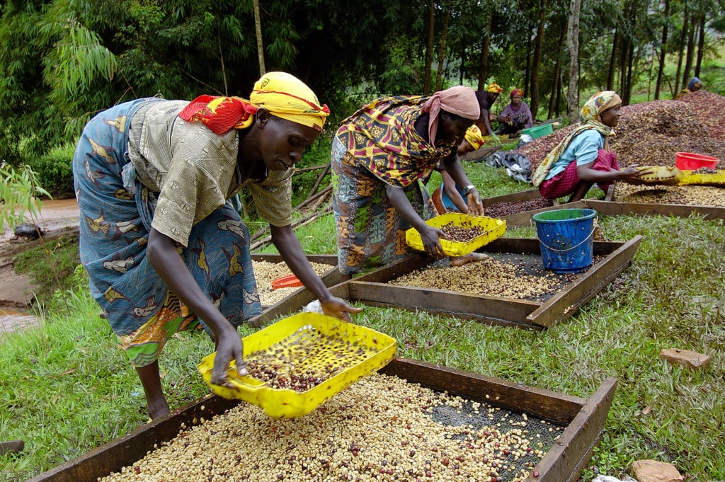 Leveling the Playing Field for Women in Agriculture