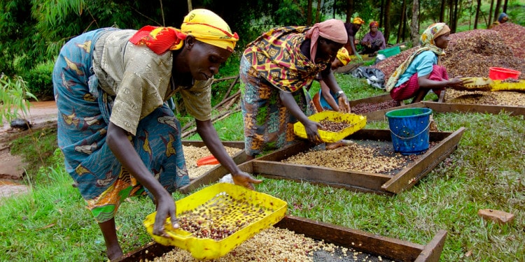 Leveling the Playing Field for Women in Agriculture