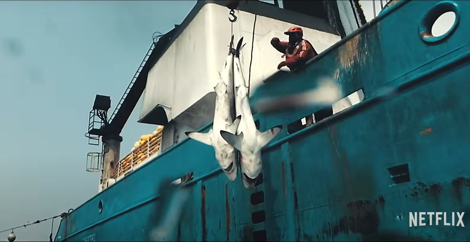 Seaspiracy: Shocking Revelations but Wrong Data and Wrong Message