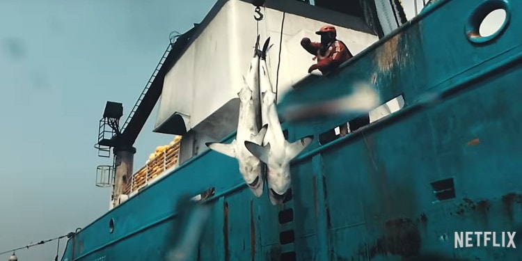 Seaspiracy: Shocking Revelations but Wrong Data and Wrong Message