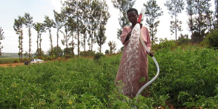 Boosting Rights & Resilience In Earth’s Threatened Forests