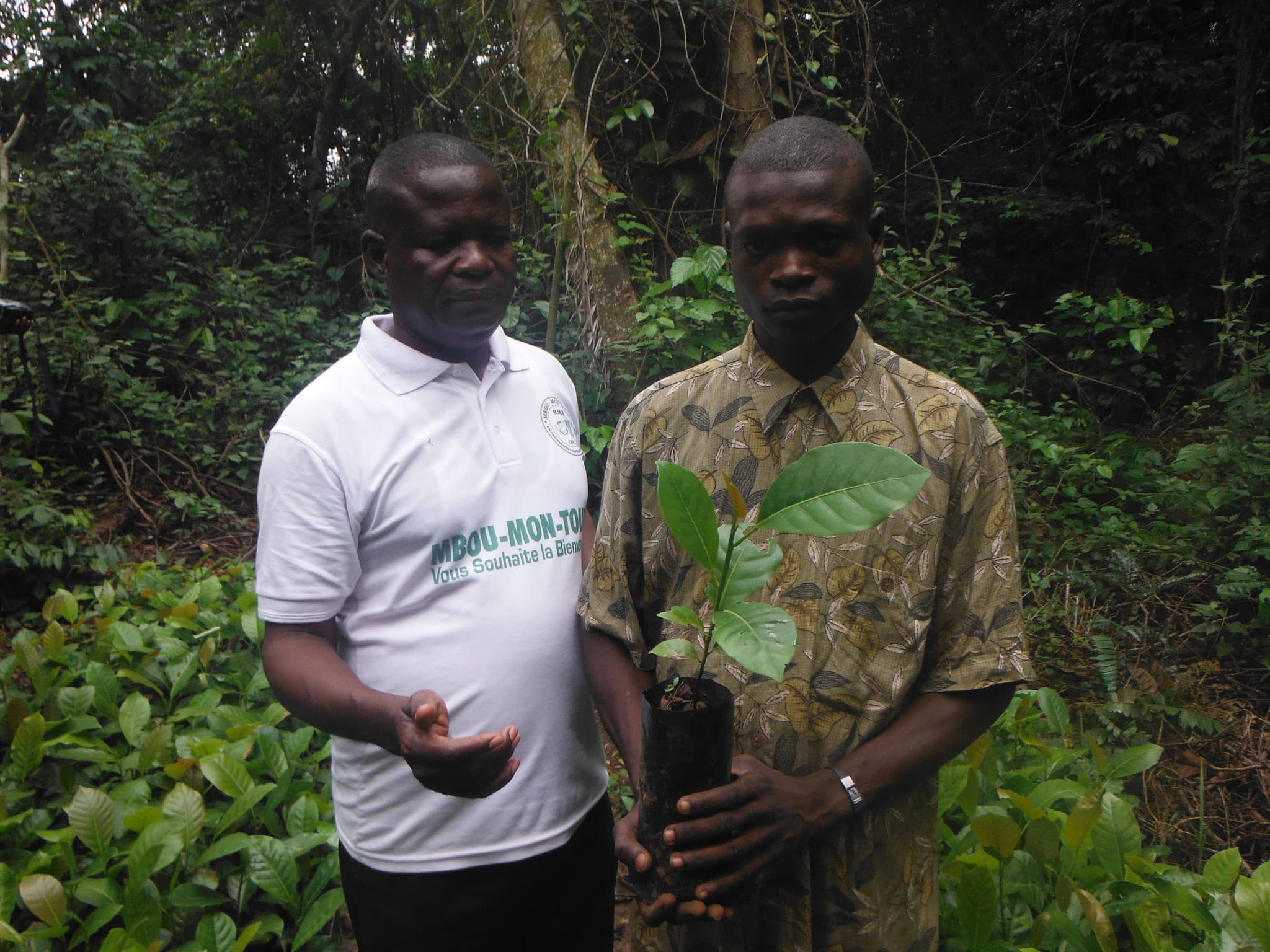 Ashden - Mbou Mon Tour.